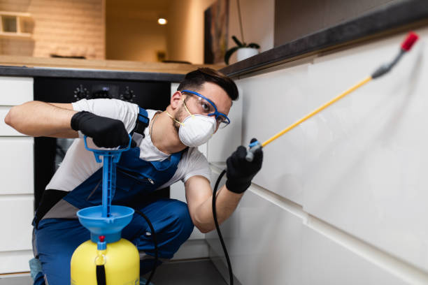 Best Residential Pest Control  in Felton, CA