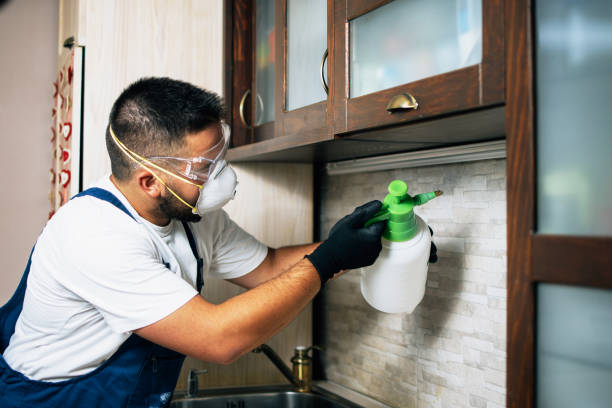Best Mosquito Control Services  in Felton, CA