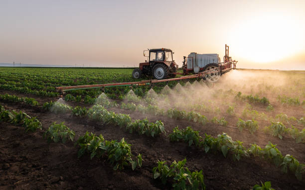 Best Pest Prevention Services  in Felton, CA