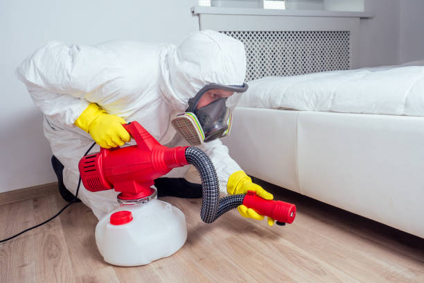 Best Affordable Pest Control Services  in Felton, CA