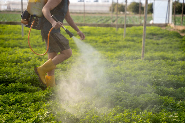 Best Pest Control Near Me in Felton, CA