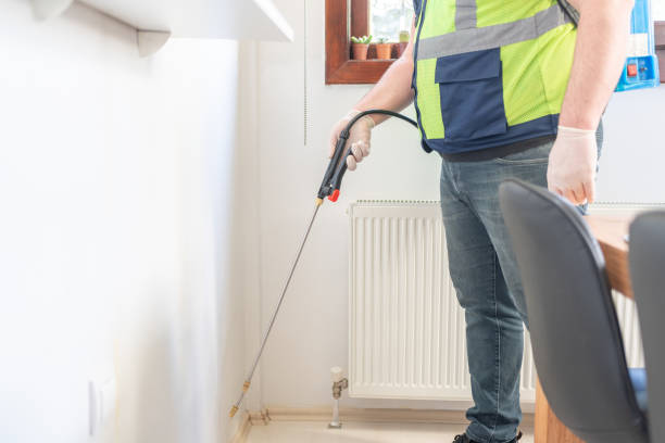 Professional Pest Control in Felton, CA