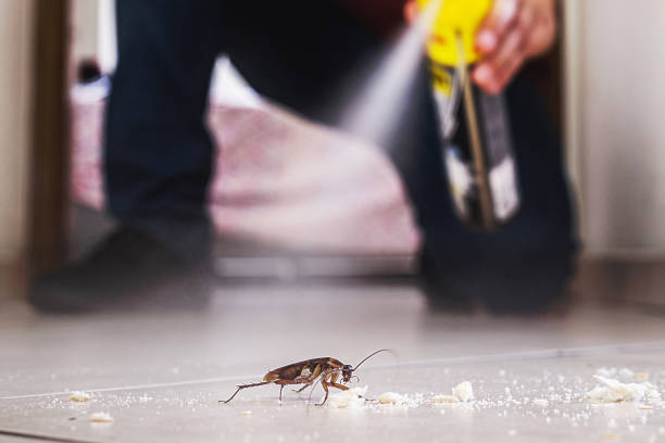 Best Best Pest Control Near Me  in Felton, CA