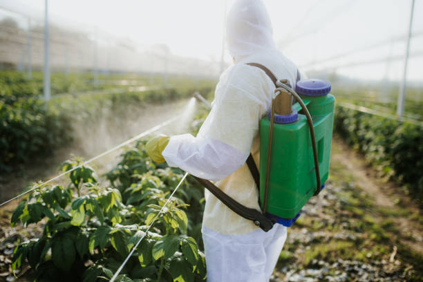 Best Flea Control Services  in Felton, CA